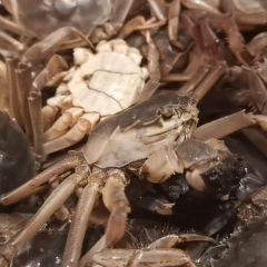 Cafe Grand User Photo