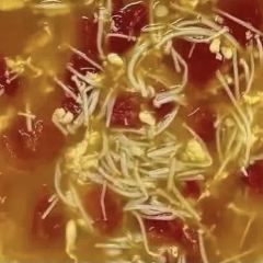 Krua Mai Mueng張用戶圖片
