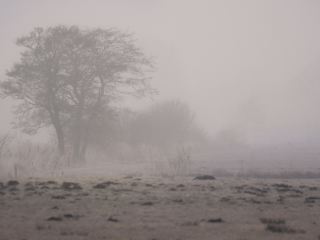 Voli Venezia Groningen diretti