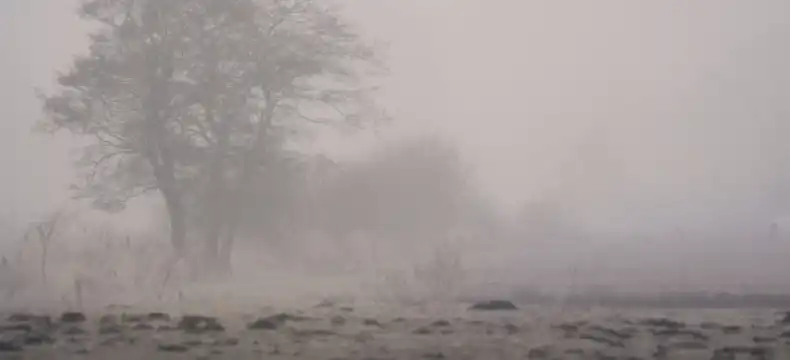 フローニンゲンのホテル