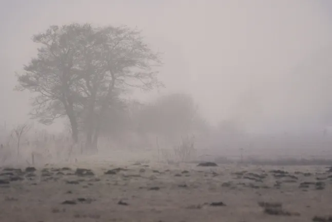 Авиабилеты Гронинген Кёльн