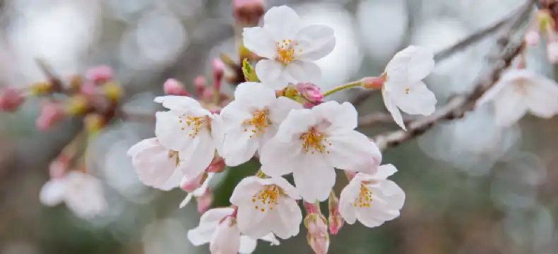 Hotels in Kandahar, Afghanistan