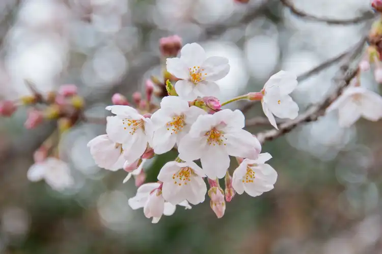 아프가니스탄, 칸다하르 호텔