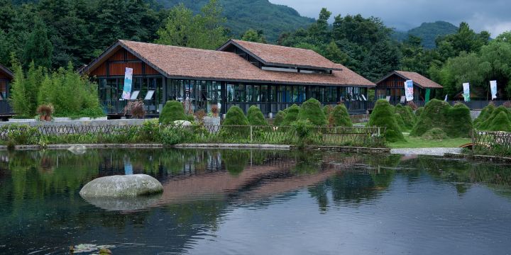 Yufu Wetland