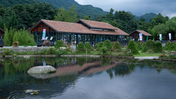 Yufu Wetland