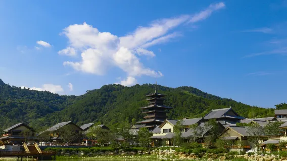 玩水避暑