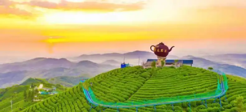 Hotels in Gushi