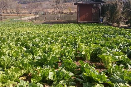 盐源县田园休闲农庄