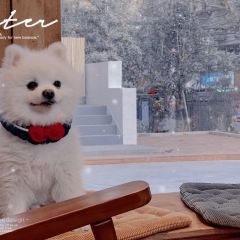 Chen's Cottage User Photo