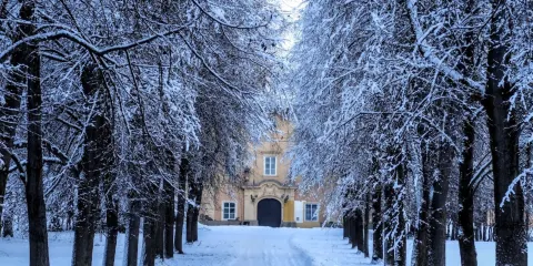 Schloss Liechtenstein