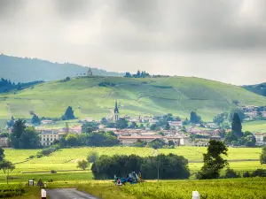 Beaujolais