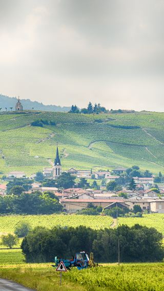 1-day tour of Beaujolais in Lyon, France [Private Charter Route | Bilingual Guide | Flexible Itinerary]