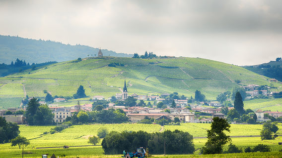 Beaujolais