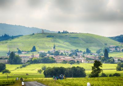 Beaujolais