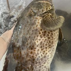 亚仕海鲜饭店 User Photo