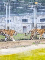 Qianlingshan Zoo