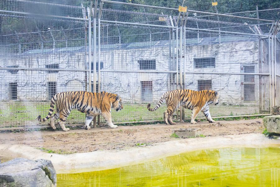 黔靈山動物園
