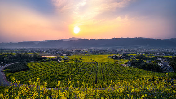 Dianjiang Grand View Garden