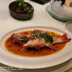 The Wessex Bar User Photo