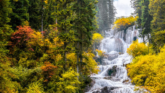 Dayu National Forest Park