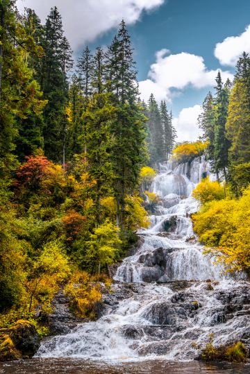 Dayu National Forest Park