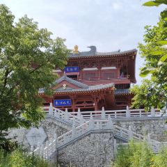 龙腾酒家(泰山街店) User Photo
