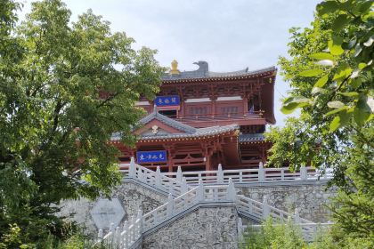 龙腾酒家(泰山街店)