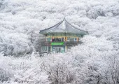 겨울에만 느낄 수 있는 설경, 국내 눈꽃 명소 ❄