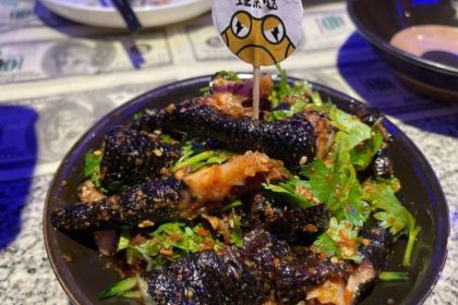 蛙来哒(陆丰岁宝百货店)