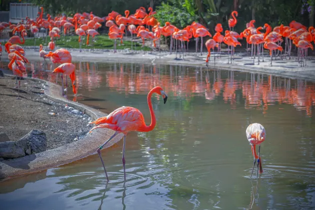 Отели рядом с достопримечательностью «Конференц-центр Сан-Диего»