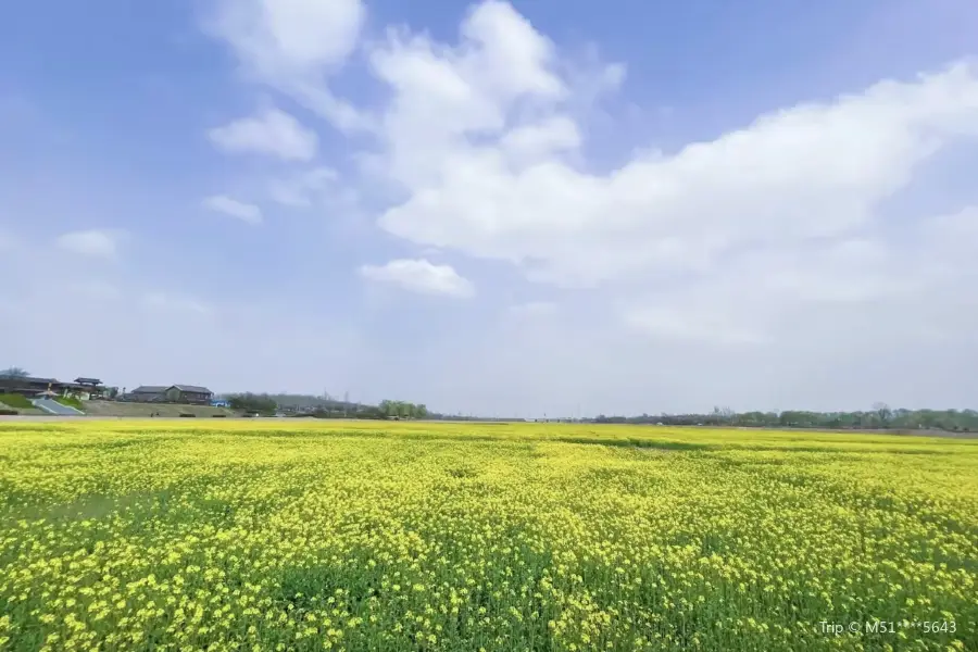 同州湖風景区