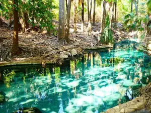 Mataranka Thermal Pool and Rainbow Springs