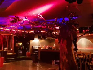 Pacha