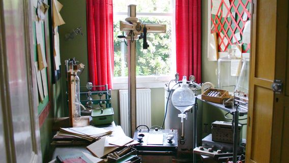 The World Of James Herriot