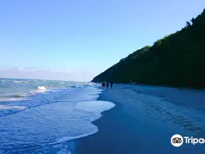Волиньский национальный парк