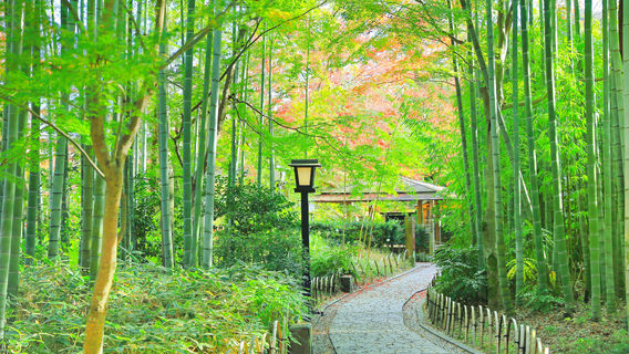 Izu
