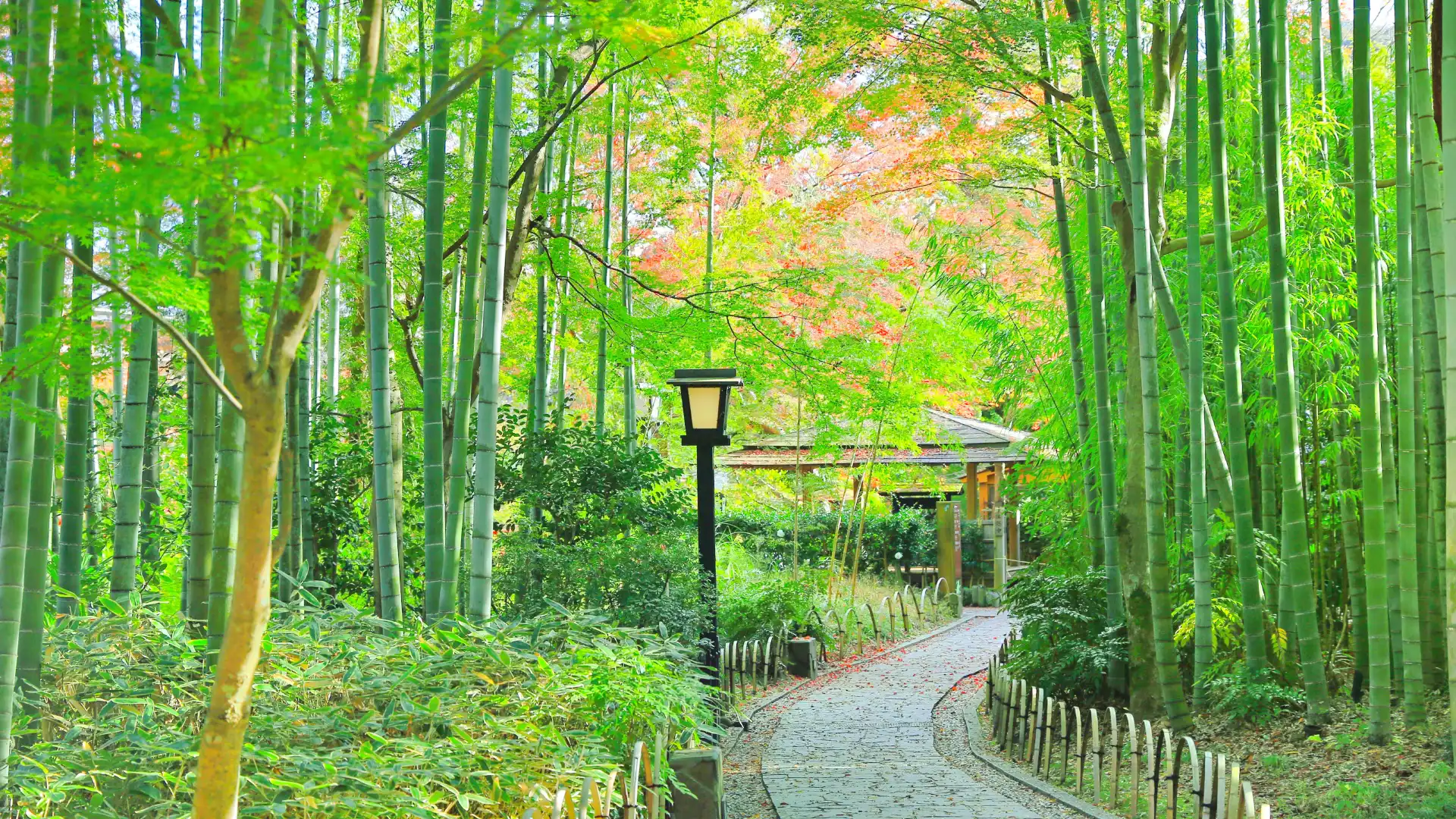 竹林の小径周辺のホテル