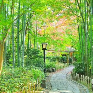 竹林の小径