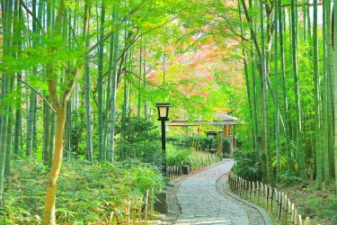 Izu City