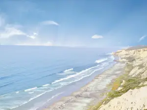 Black's Beach