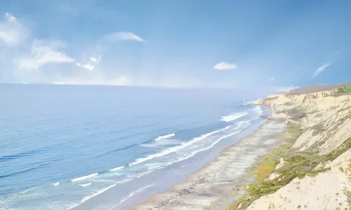 Black's Beach