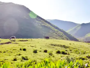 Qianba Grassland