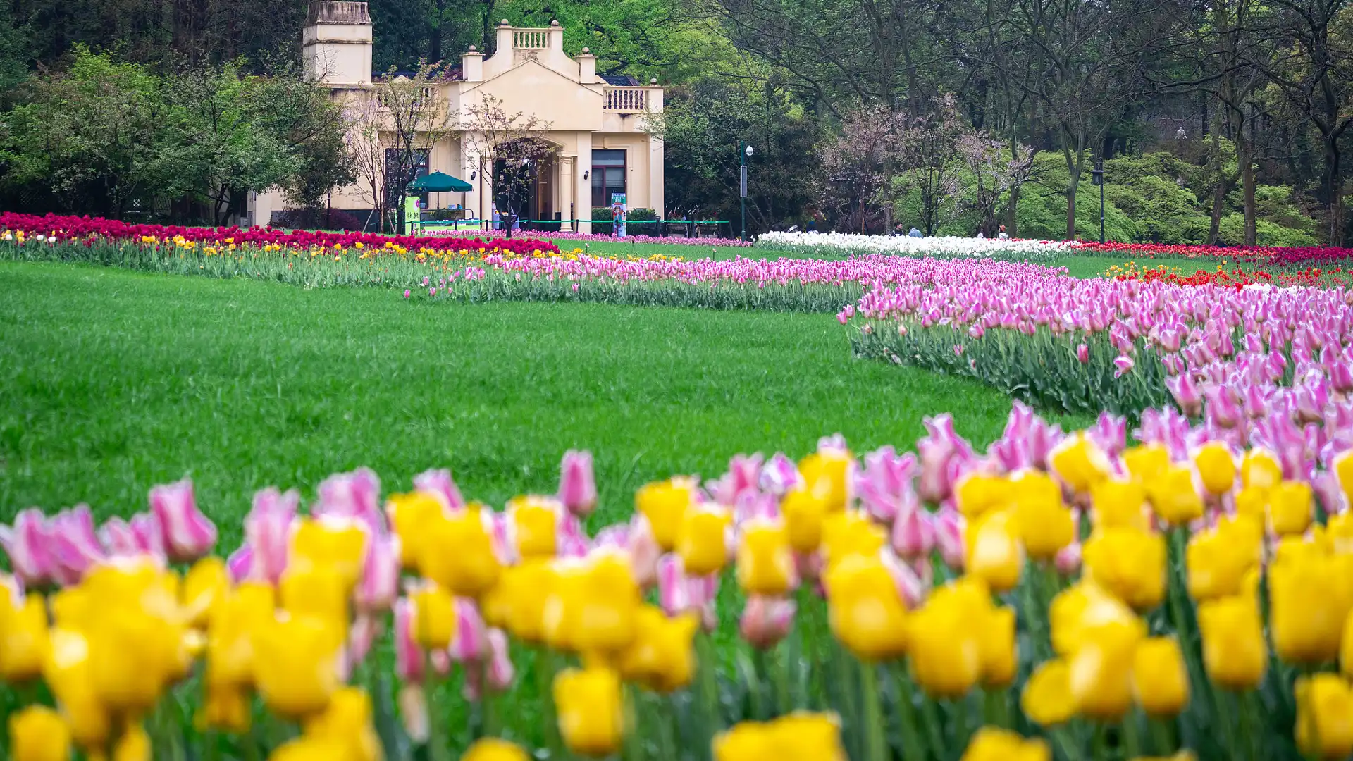 โรงแรมใกล้สวนไท่จือวาน