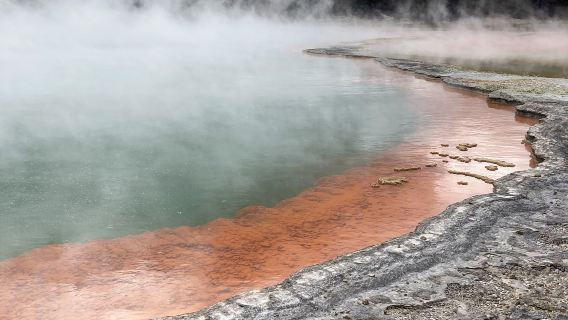 奧克蘭+愛歌頓農場+蒂普亞毛利文化村+紅木森林公園一日遊