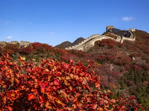 바다링창청(팔달령장성)