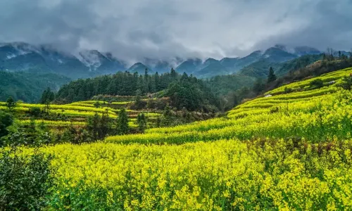 Black Valley