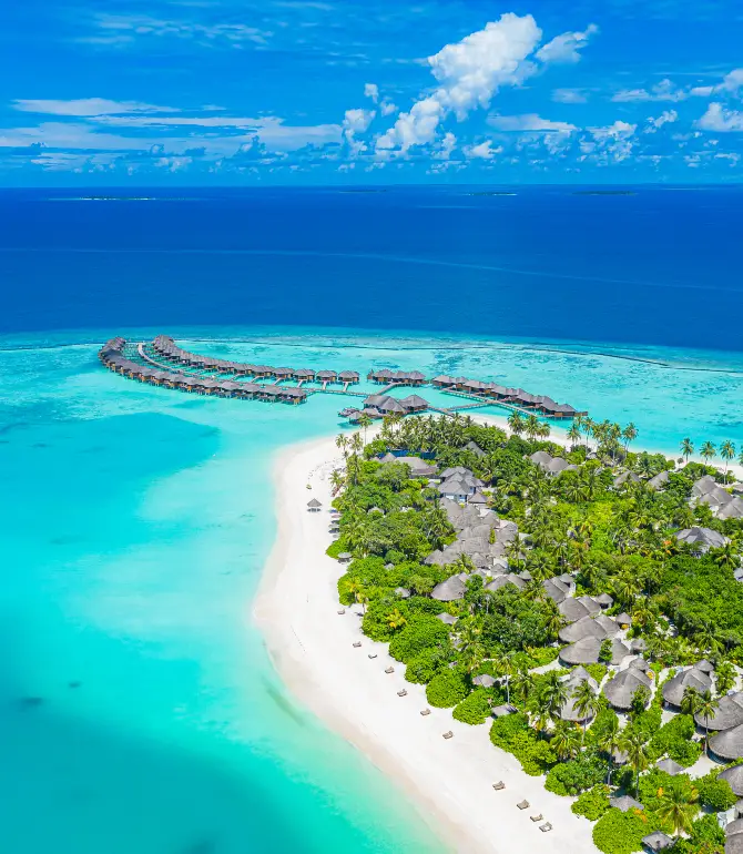 Dhigu