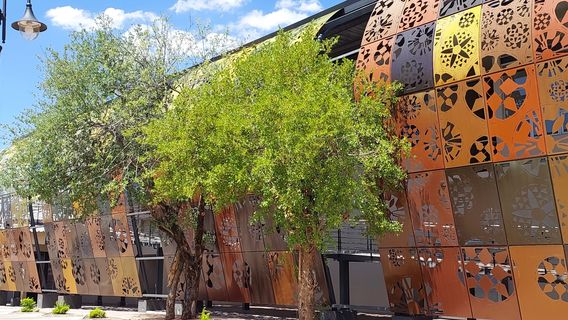 National Museum & Art Gallery