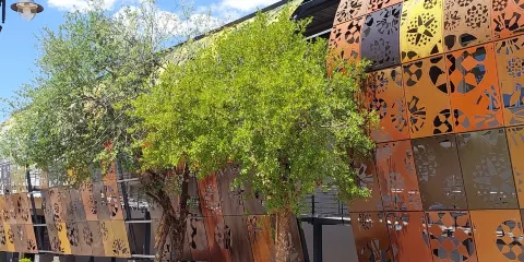 博茨瓦納國家博物館