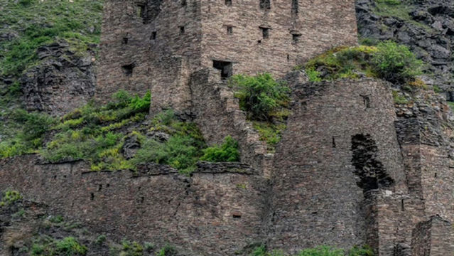 jie dun zhu zong yi zhi